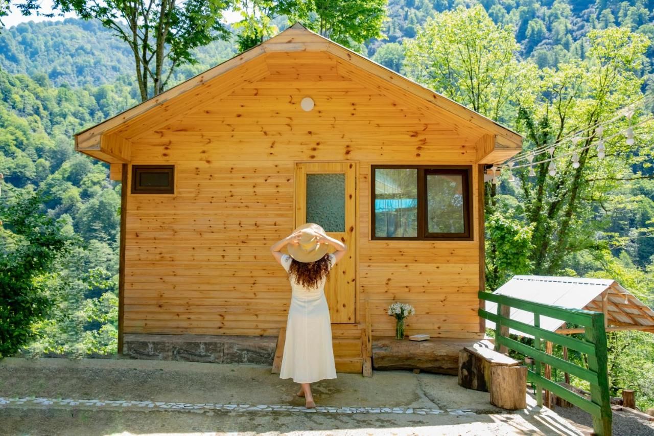 Skydoorცისკარი