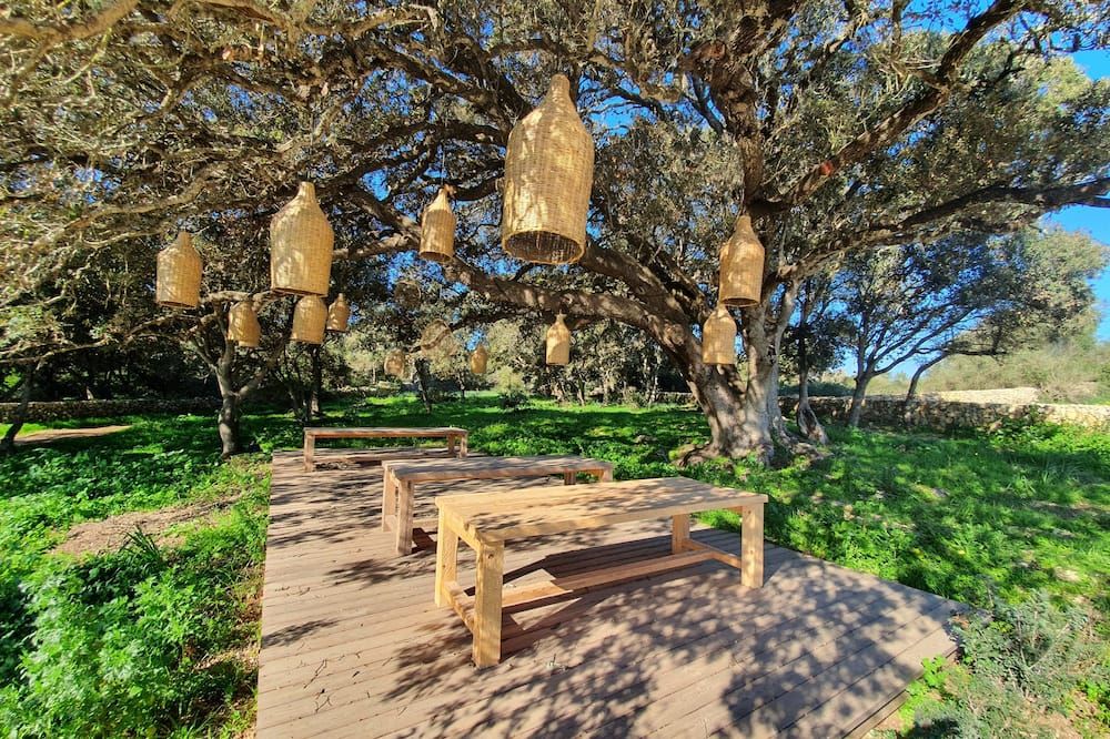 Santa Ponsa Fontenille Menorca