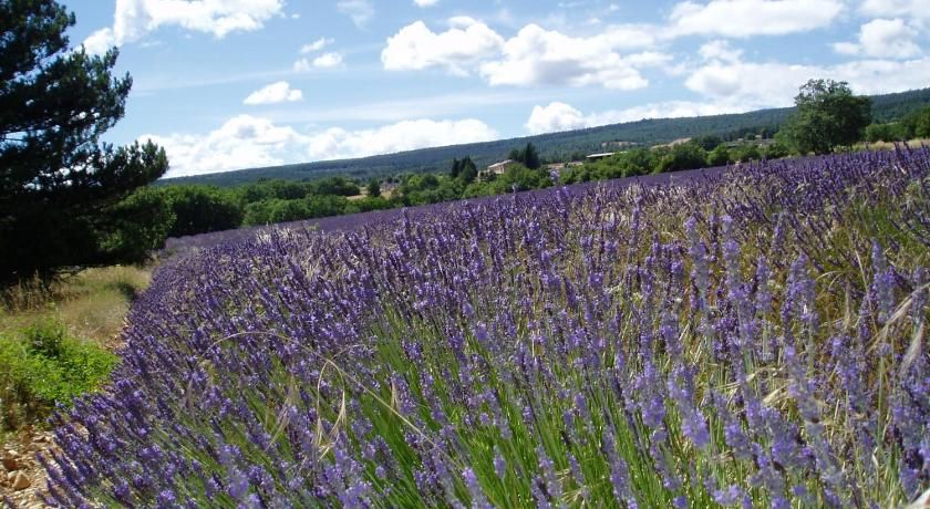 Le Grangeon Provence-Alpes-Côte d'Azur - Cruis visuel 1/5