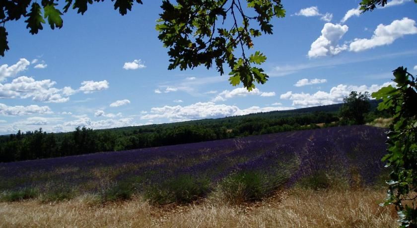 Le Grangeon Provence-Alpes-Côte d'Azur - Cruis visuel 3/5