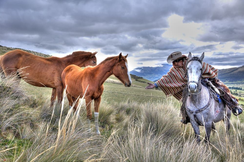 Hacienda El Porvenir by Tierra del Volcan