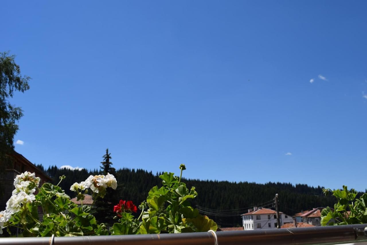 hotel photo