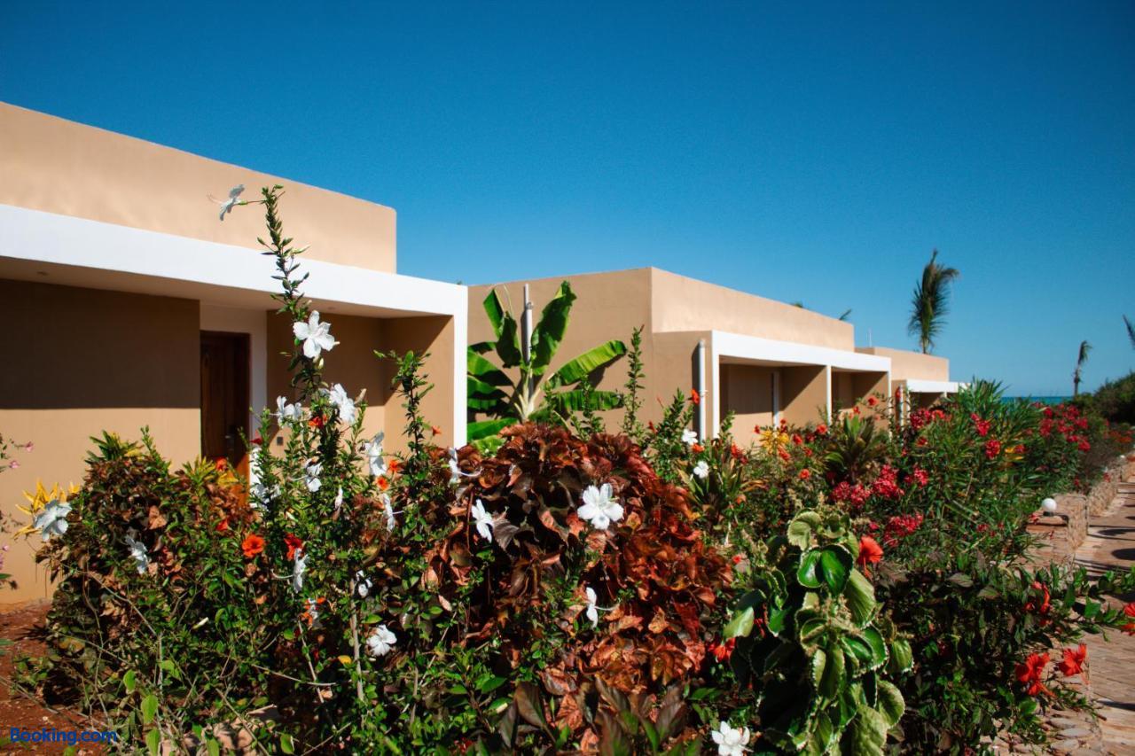 booking-1072128335-619740906-637163 Oasis Blu Beach Resort-Adults Only