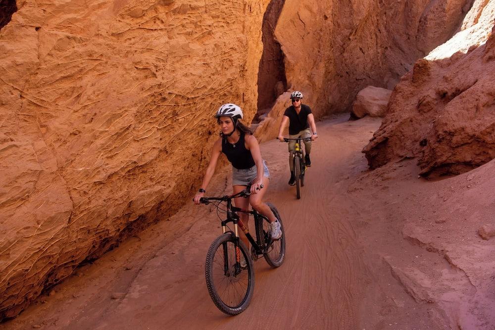 expedia_group-413761-222527546-331177 Tierra Atacama