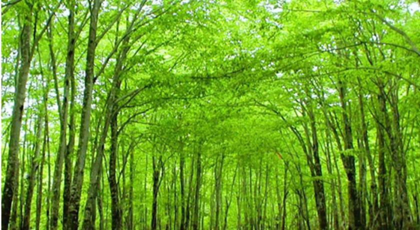 Kyukamura Nyuto-Onsenkyo