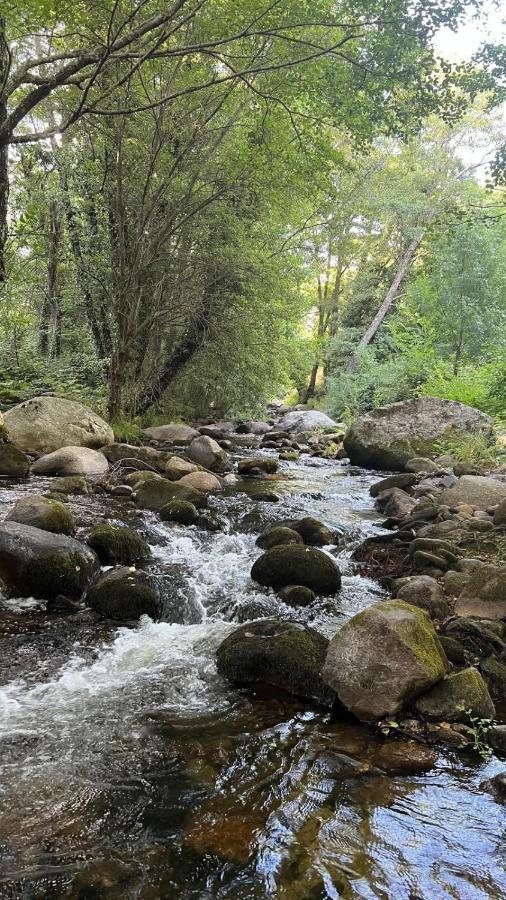 Camping La Eliza Lanzahíta Castile and Leon - Lanzahíta visuel 2/5 Camping La Eliza Lanzahíta Castile and Leon - Lanzahíta visuel 2/5