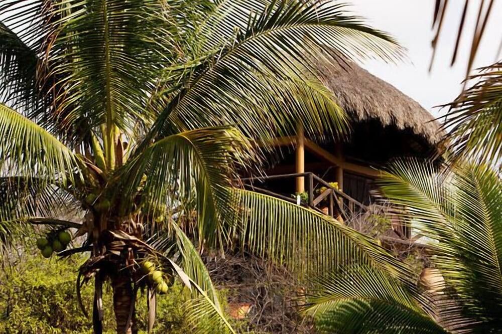 El Alquimista Yoga Spa