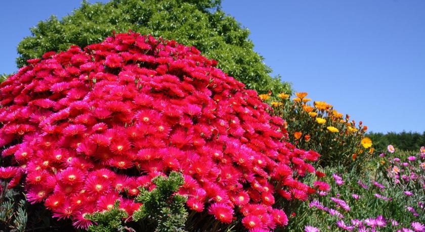 Breizh A-Gevret Bretagne - Lannion visuel 1/5 Breizh A-Gevret Bretagne - Lannion visuel 1/5