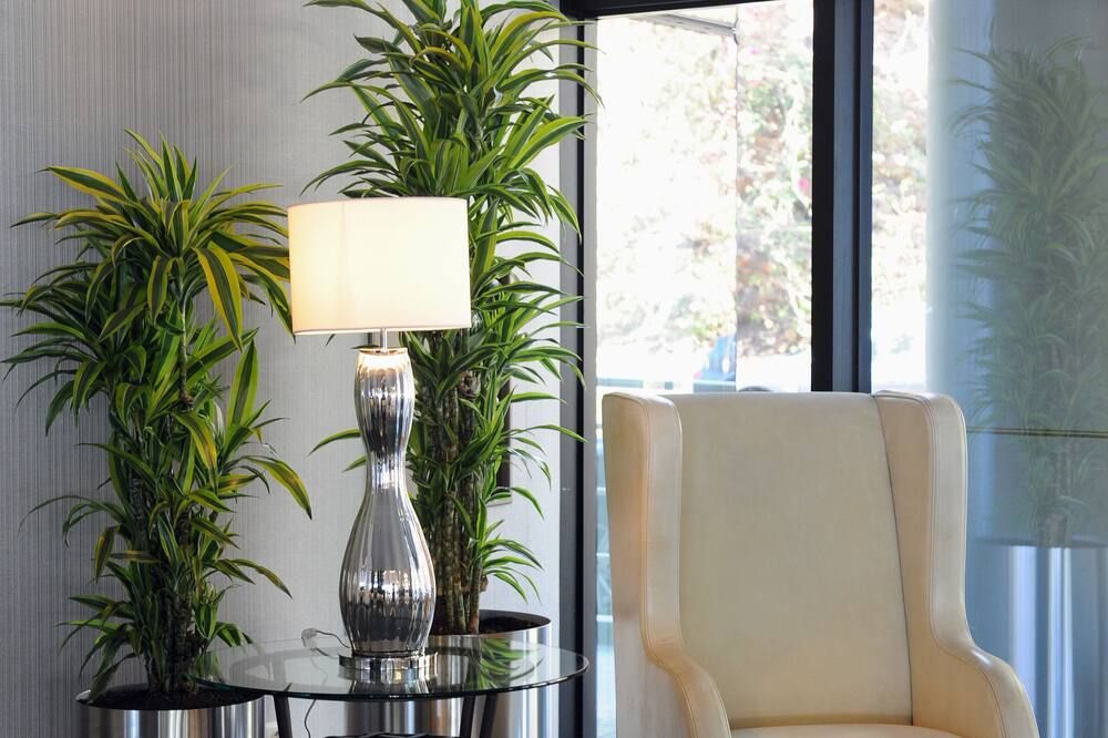 Enotel Lido - All Inclusive