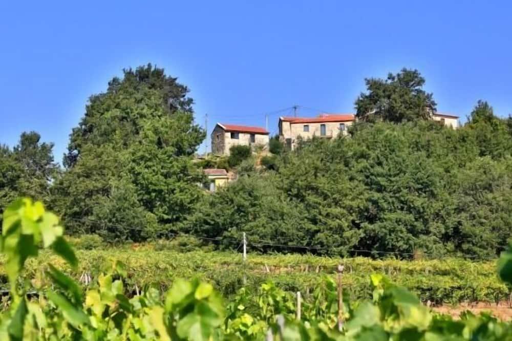 Stone house next to a vineyard for 2 people. Pets welcome. Galicië - A Cañiza visuel 1/10 Stone house next to a vineyard for 2 people. Pets welcome. Galicië - A Cañiza visuel 1/10