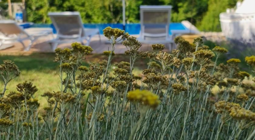 Boutique Resort Osma - Adults Only