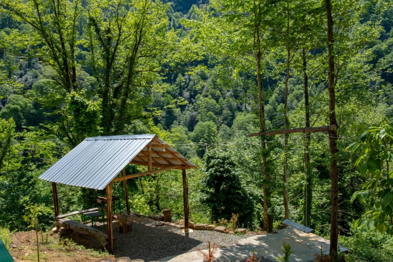 Skydoorცისკარი