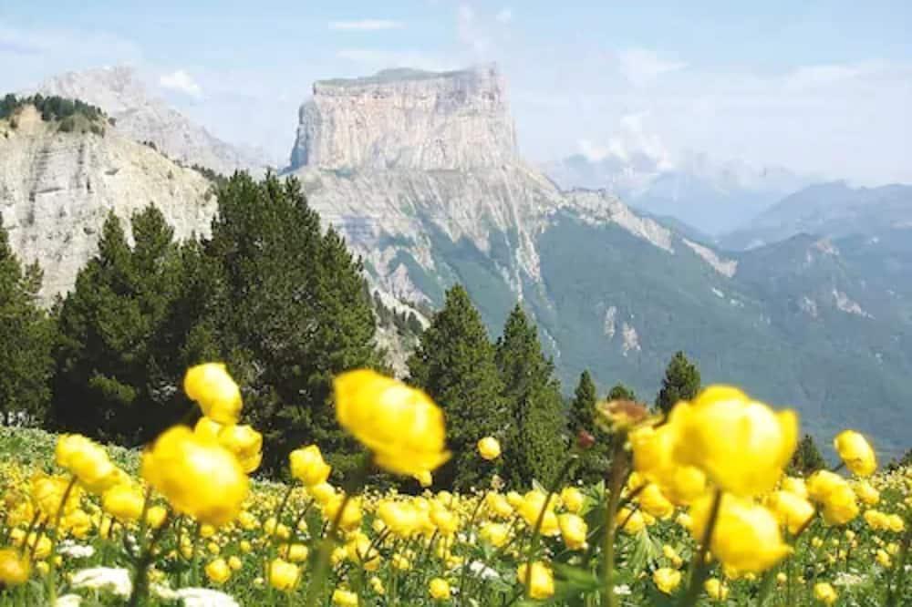 Hotel le Chalet Rhône-Alpes - Gresse-en-Vercors visuel 4/5 Hotel le Chalet Rhône-Alpes - Gresse-en-Vercors visuel 4/5