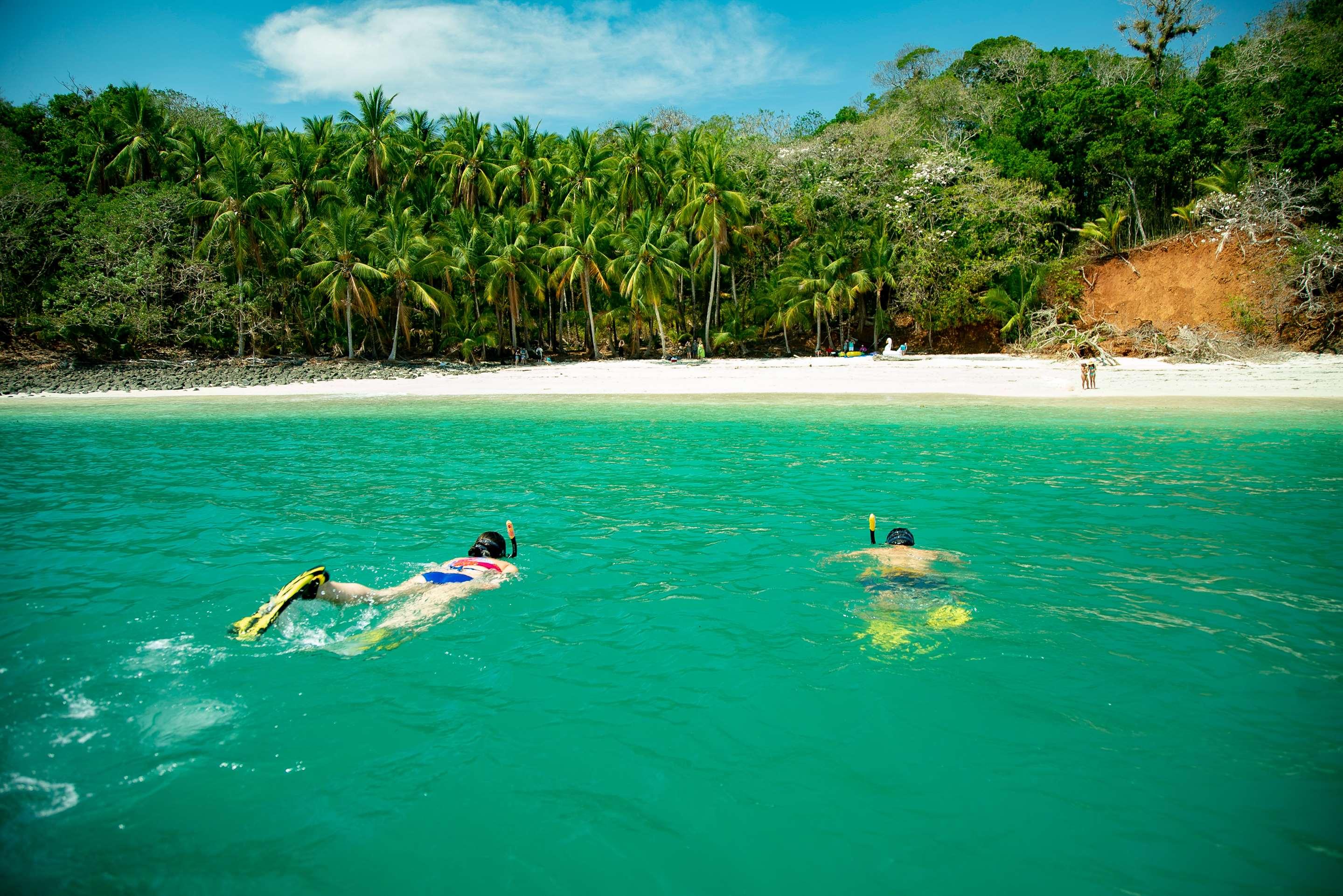 ice-227117288-70203911_3XL-589995 Isla Palenque