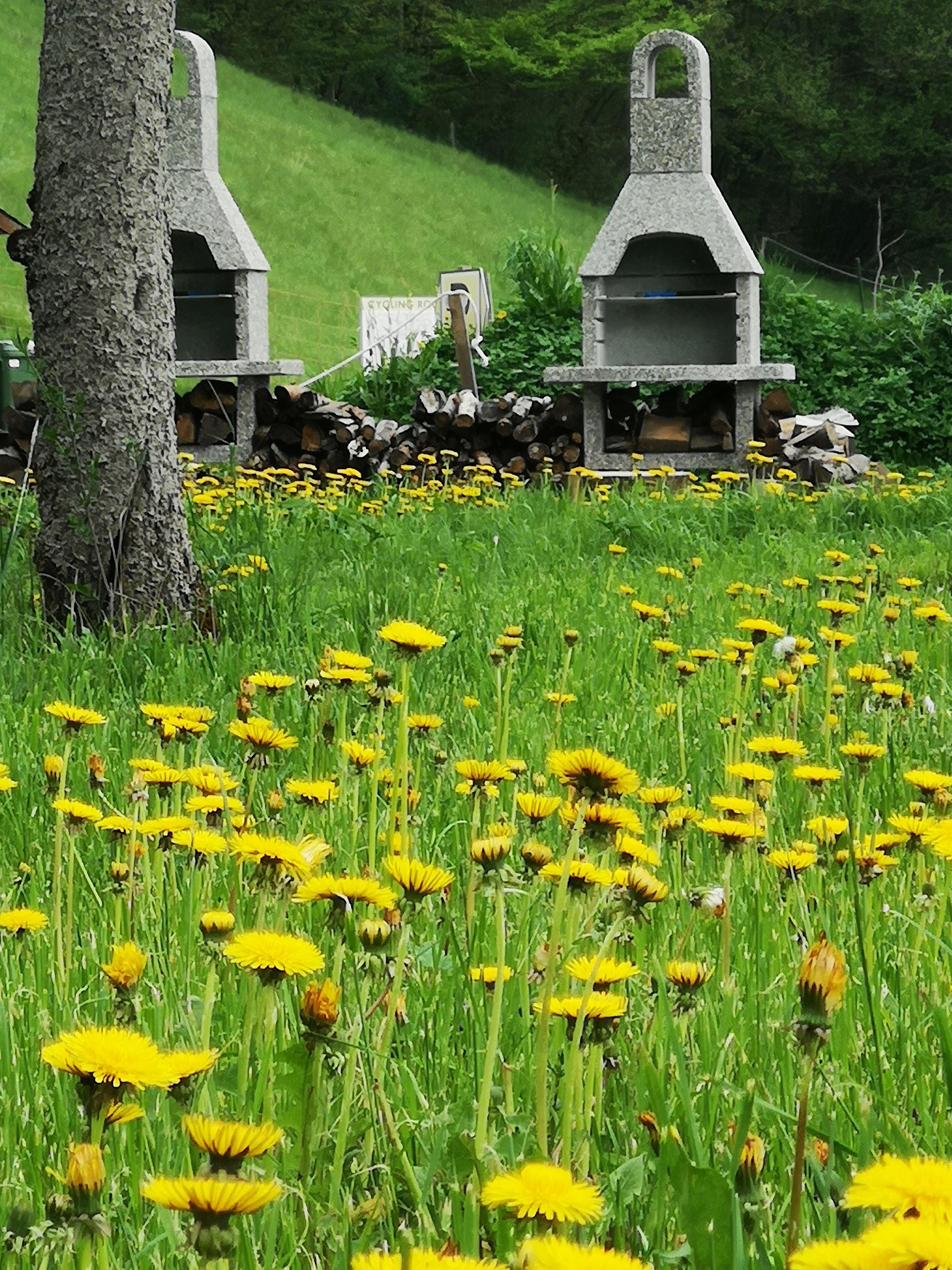 Camping Garden Park Upper Carniola - Brezje visuel 4/5 Camping Garden Park Upper Carniola - Brezje visuel 4/5