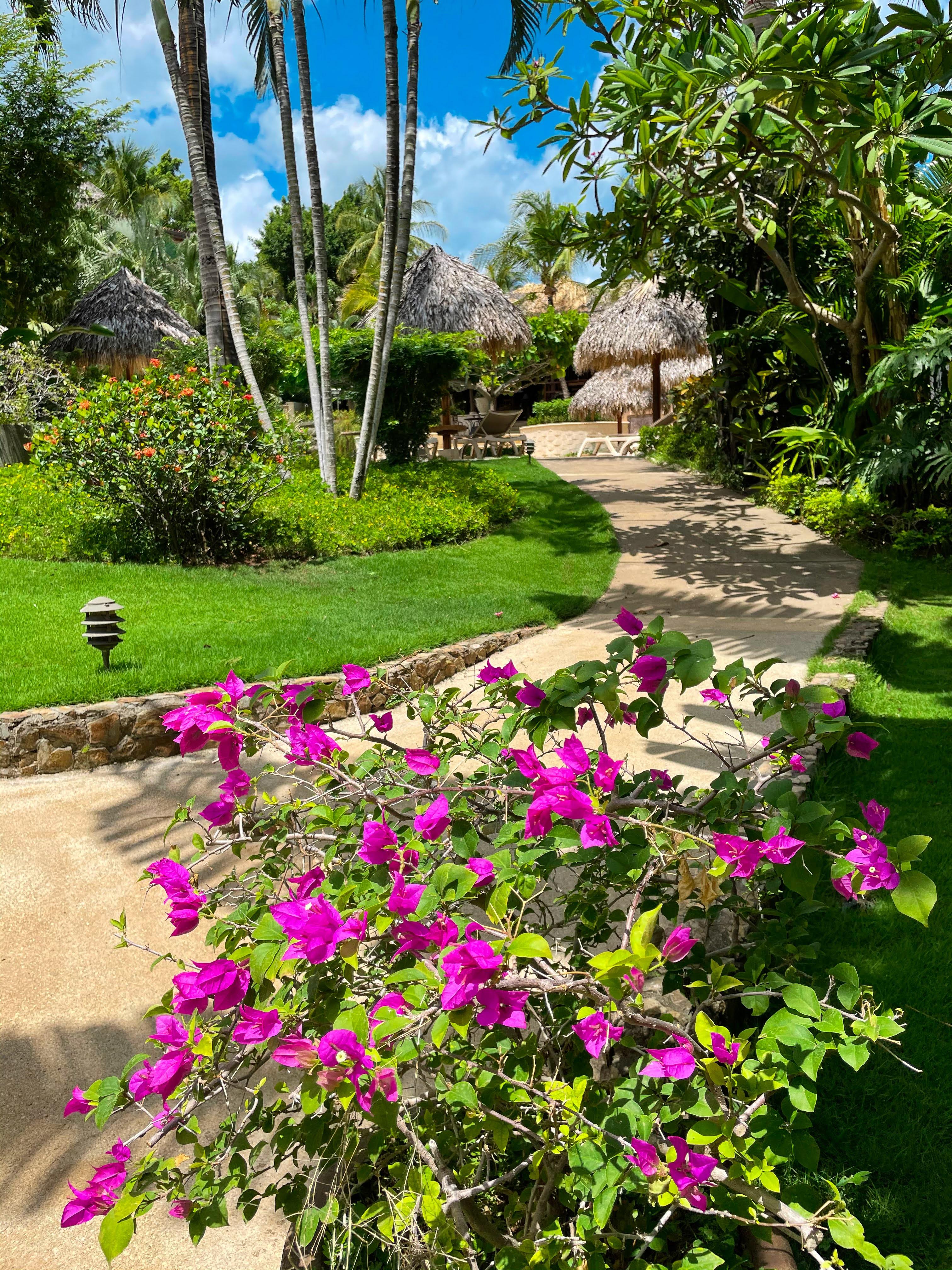 550c0c4c-6155851f-101 Jardin del Eden Boutique Hotel – Adults Only