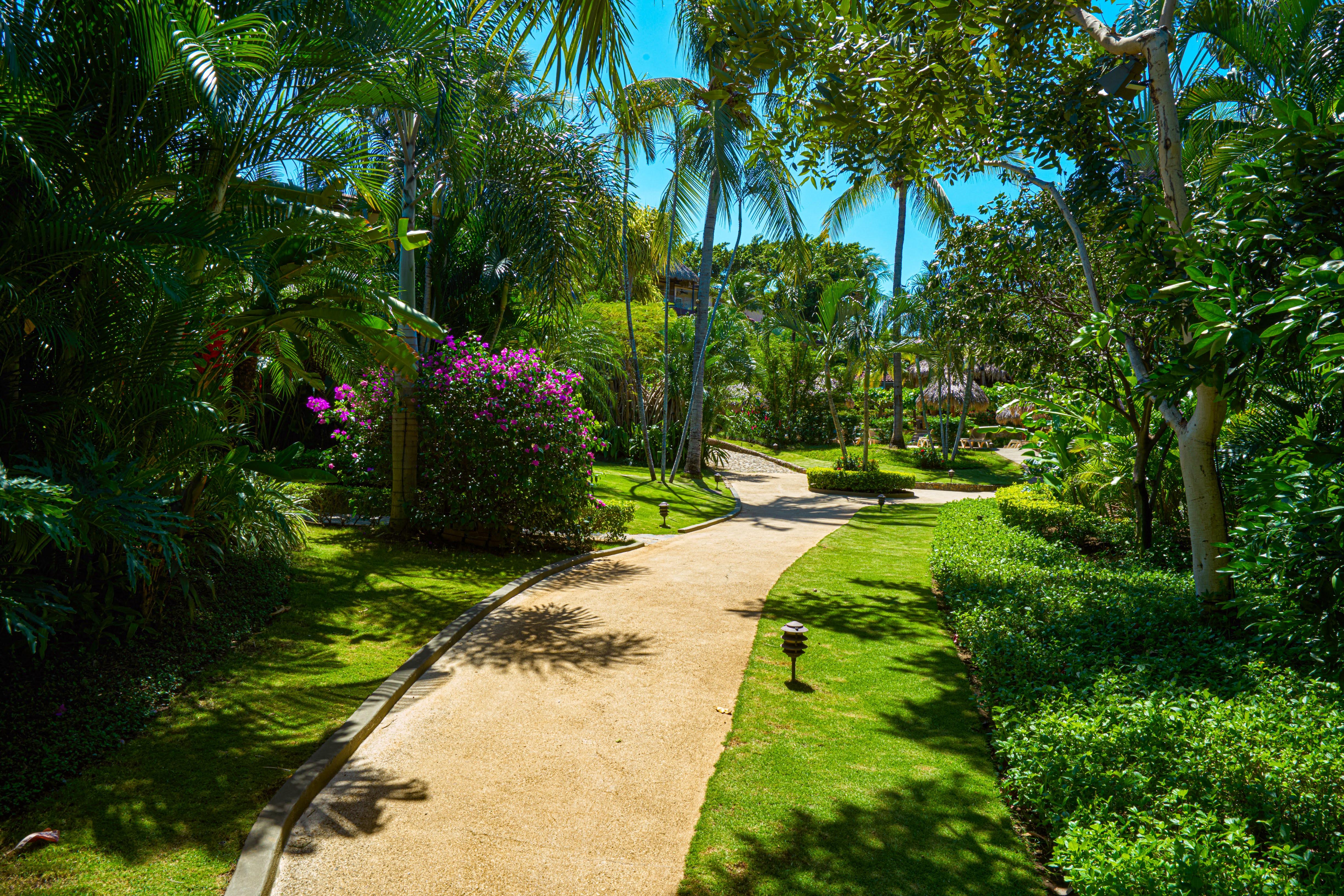 550c0c4c-6155851f-105 Jardin del Eden Boutique Hotel – Adults Only