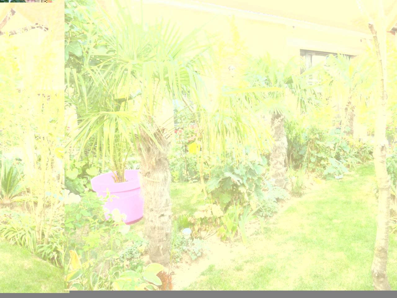 Le Patio d'Eric Nord-Pas De Calais - Aubigny-au-Bac visuel 2/5 Le Patio d'Eric Nord-Pas De Calais - Aubigny-au-Bac visuel 2/5