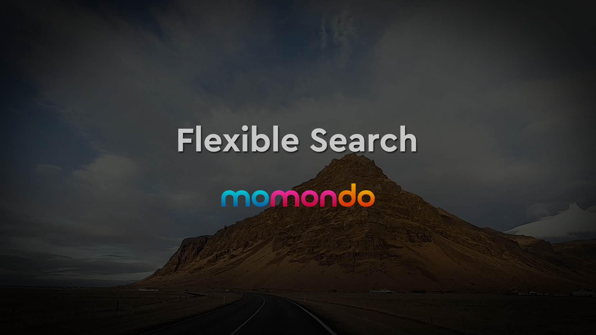 Flexible Search