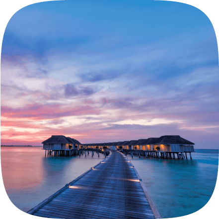 Hotel Search Features