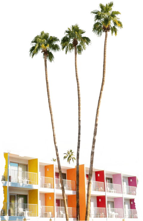 Palmtrees