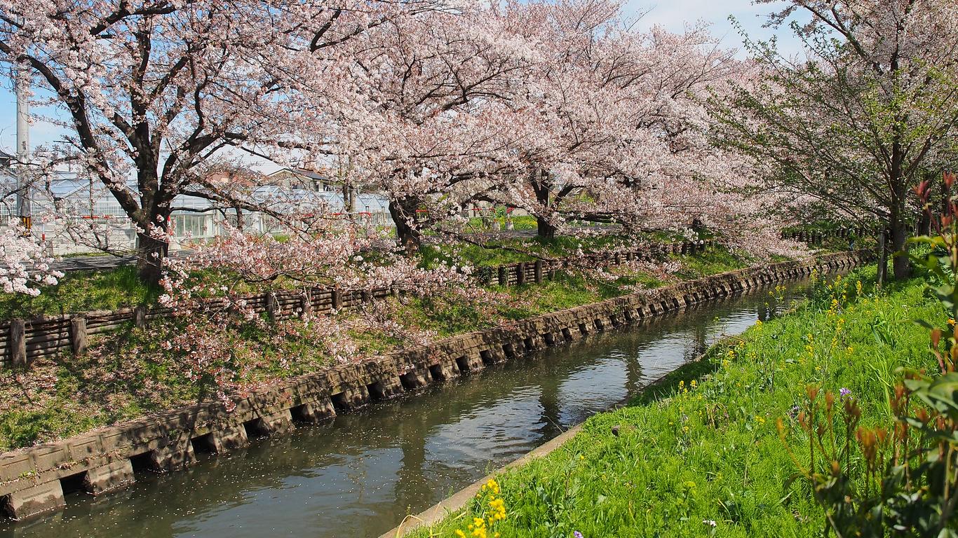 Hoteller i Kawagoe