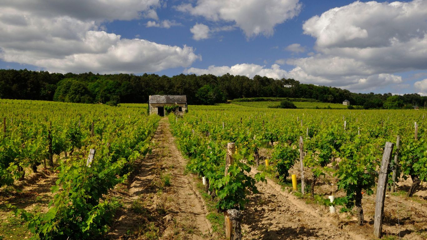 Hoteles en Bourgueil