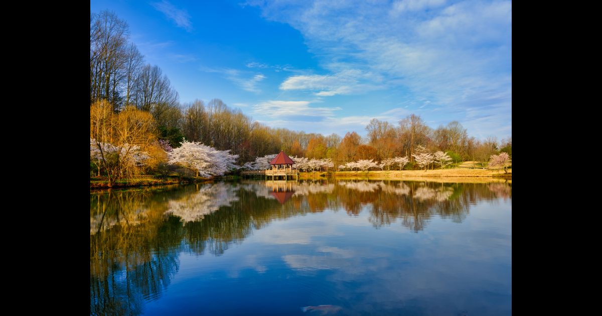 Budget hire cars in Vienna KAYAK