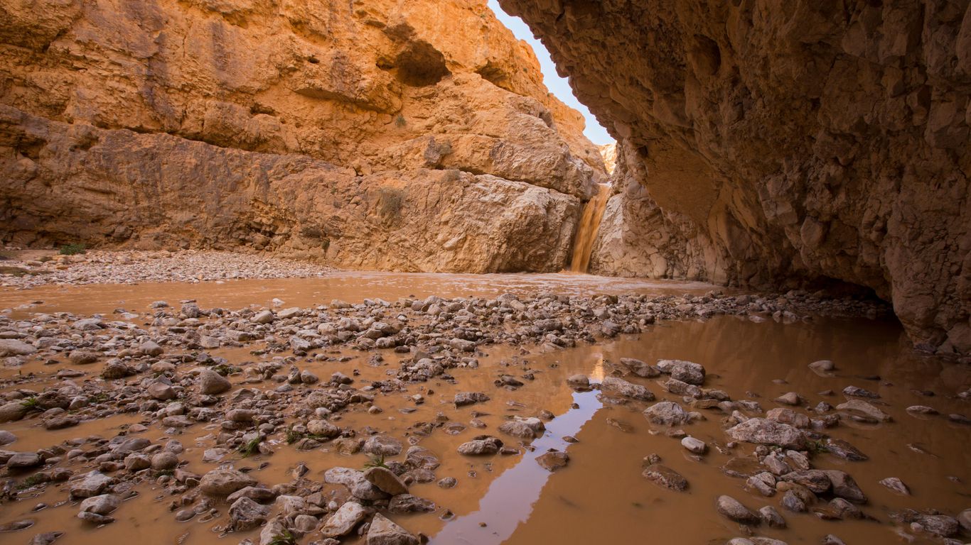 Vacations in Dead Sea