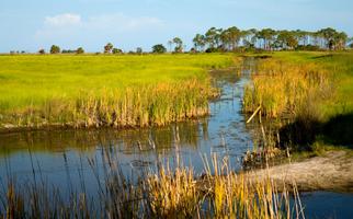 St. Marks National Wildlife Refuge