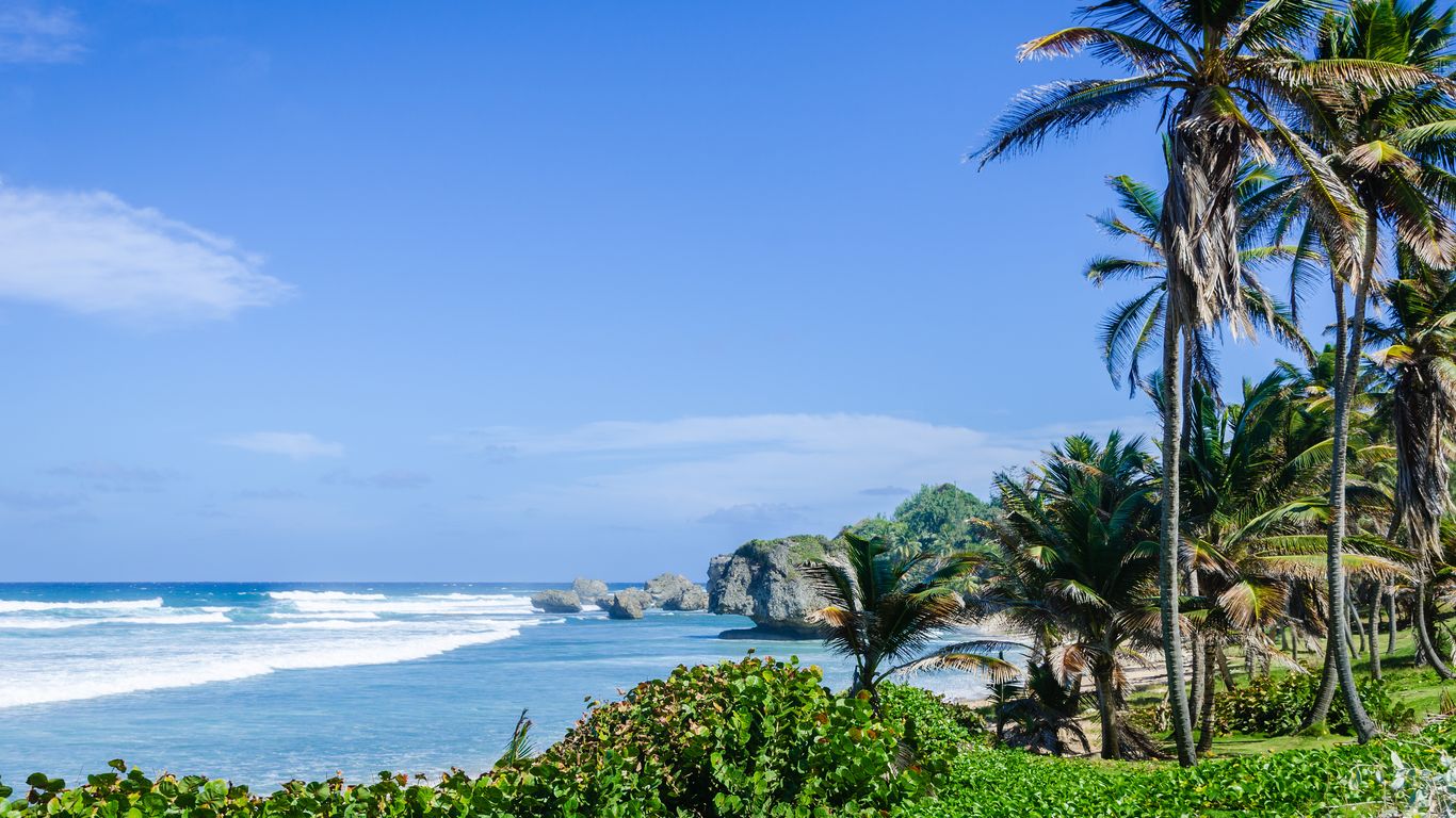 Férias em Bathsheba