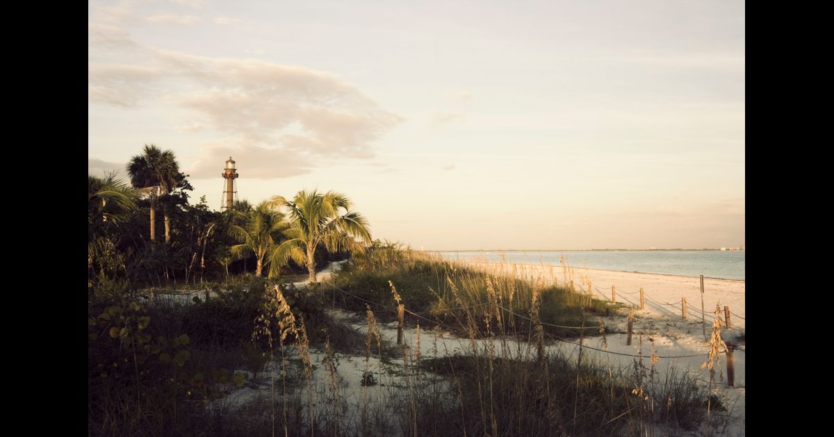 Sanibel Top