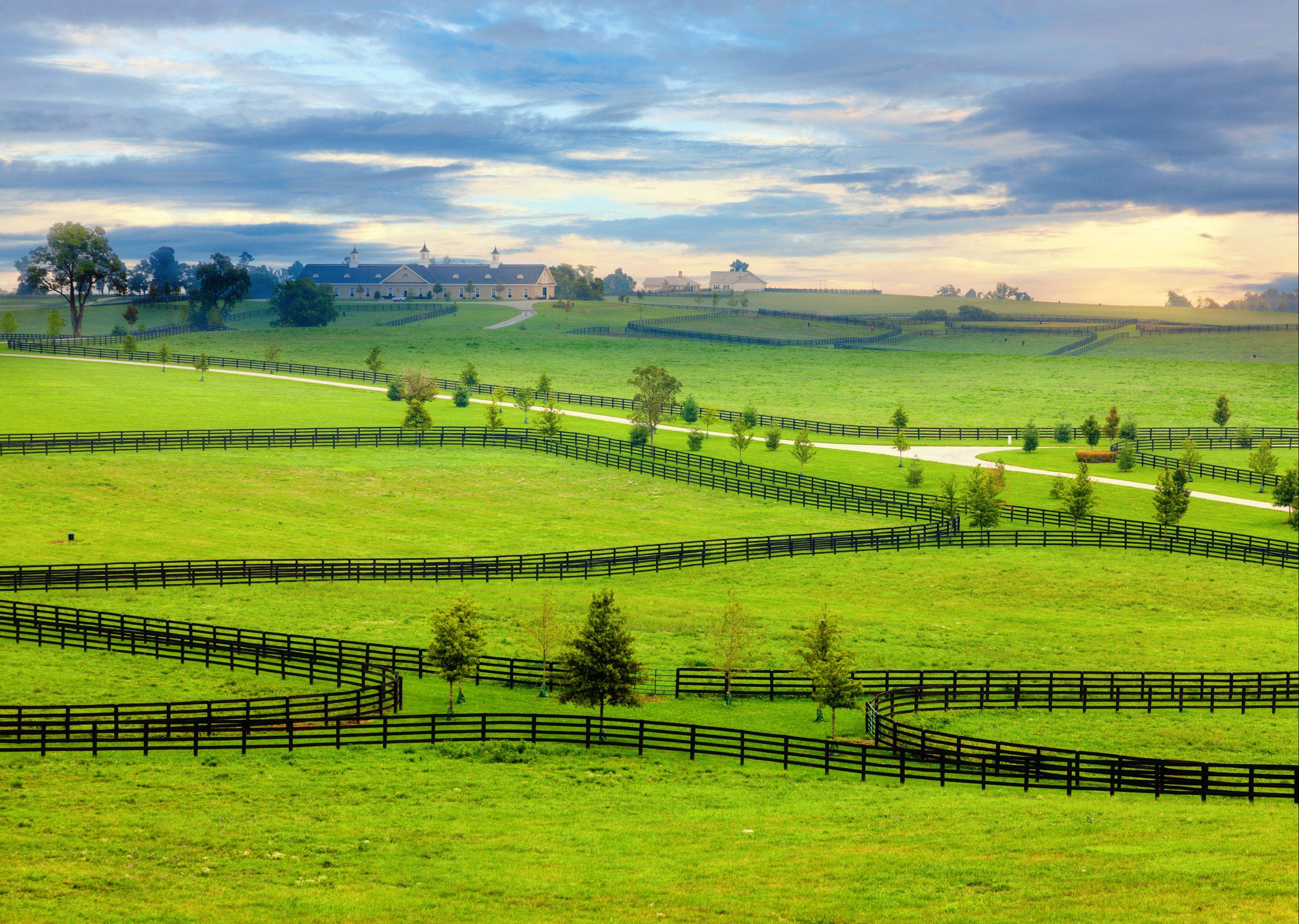 Flights from Los Angeles CA to Kentucky KY from 51