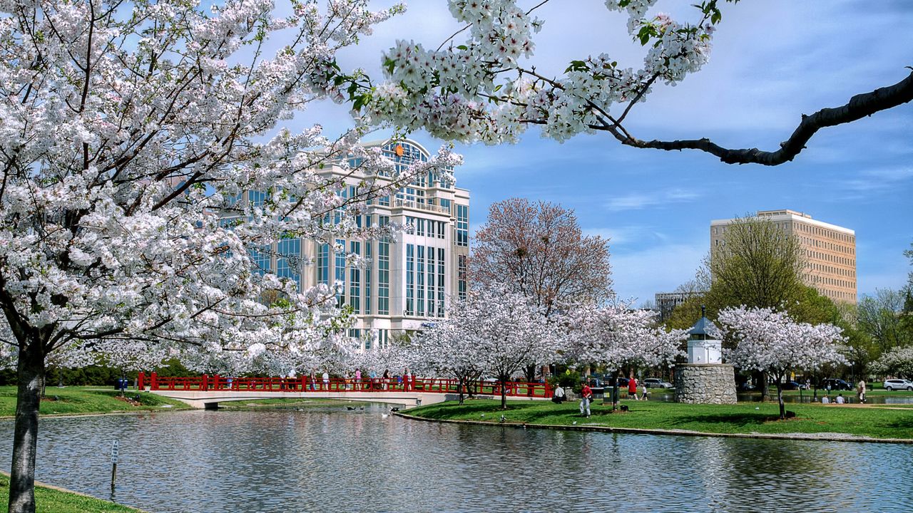 Find Cheap Flights To Huntsville