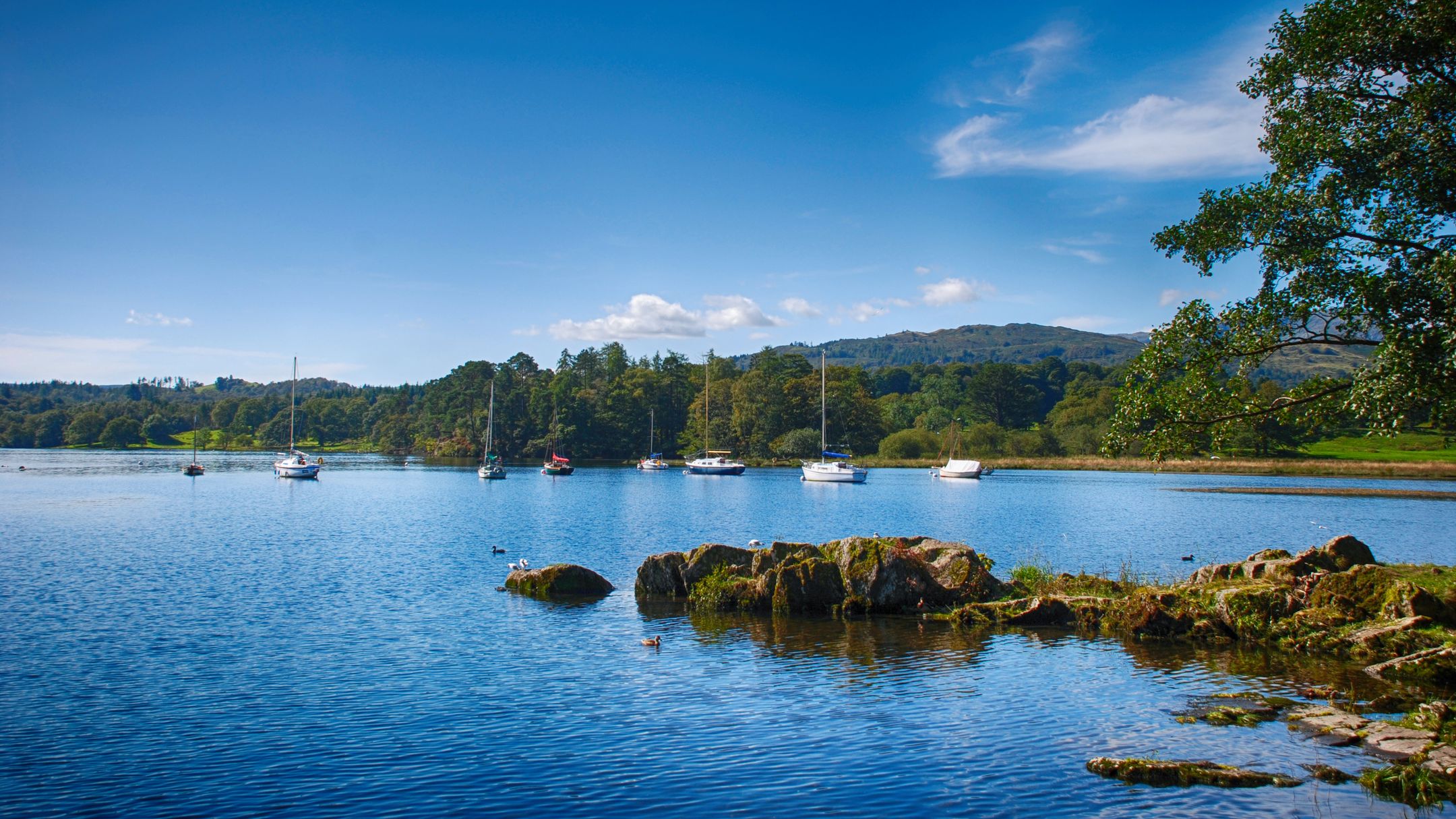 Windermere Travel Guide | Windermere Tourism - KAYAK