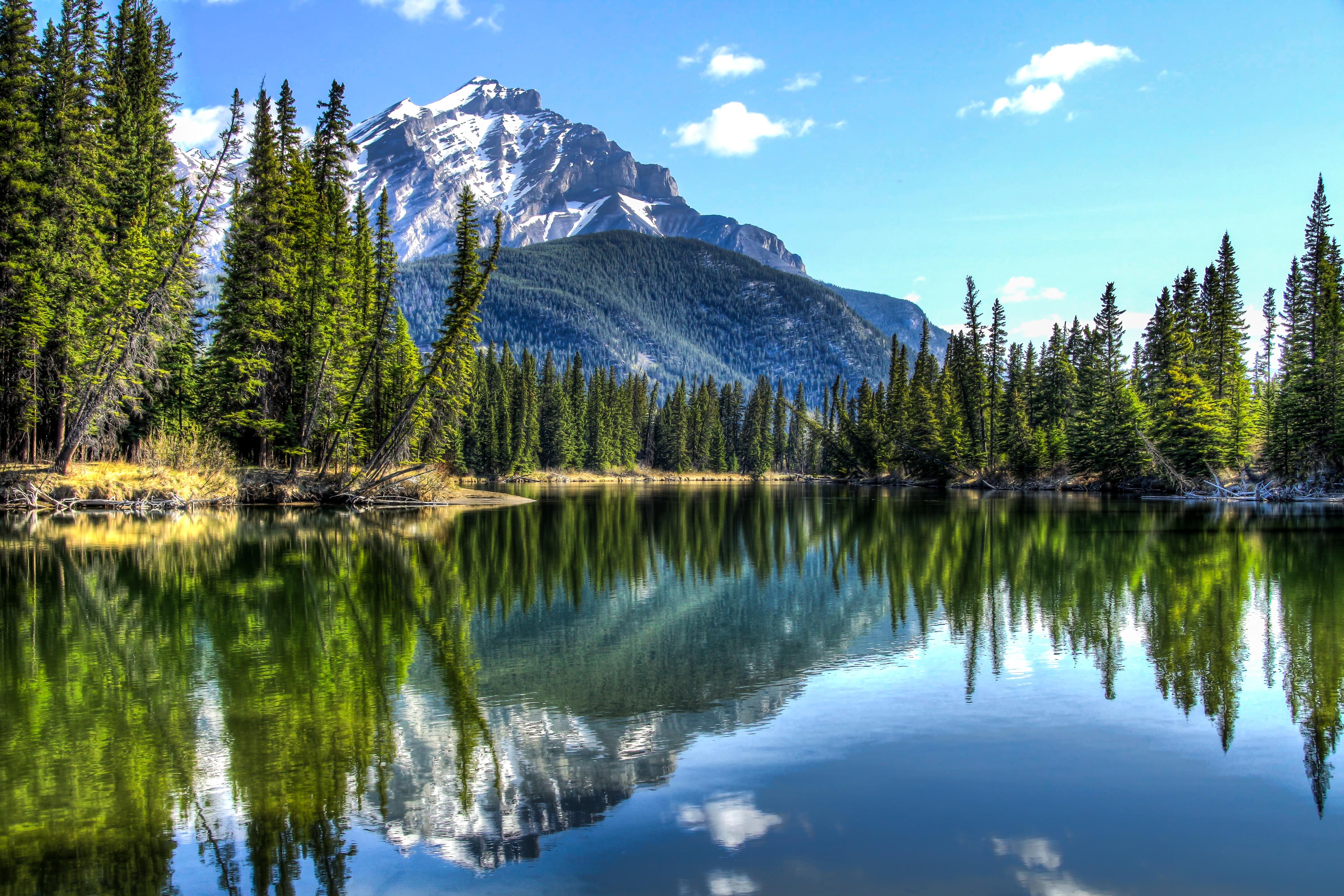 Cheap Flights to Alberta from 188 KAYAK