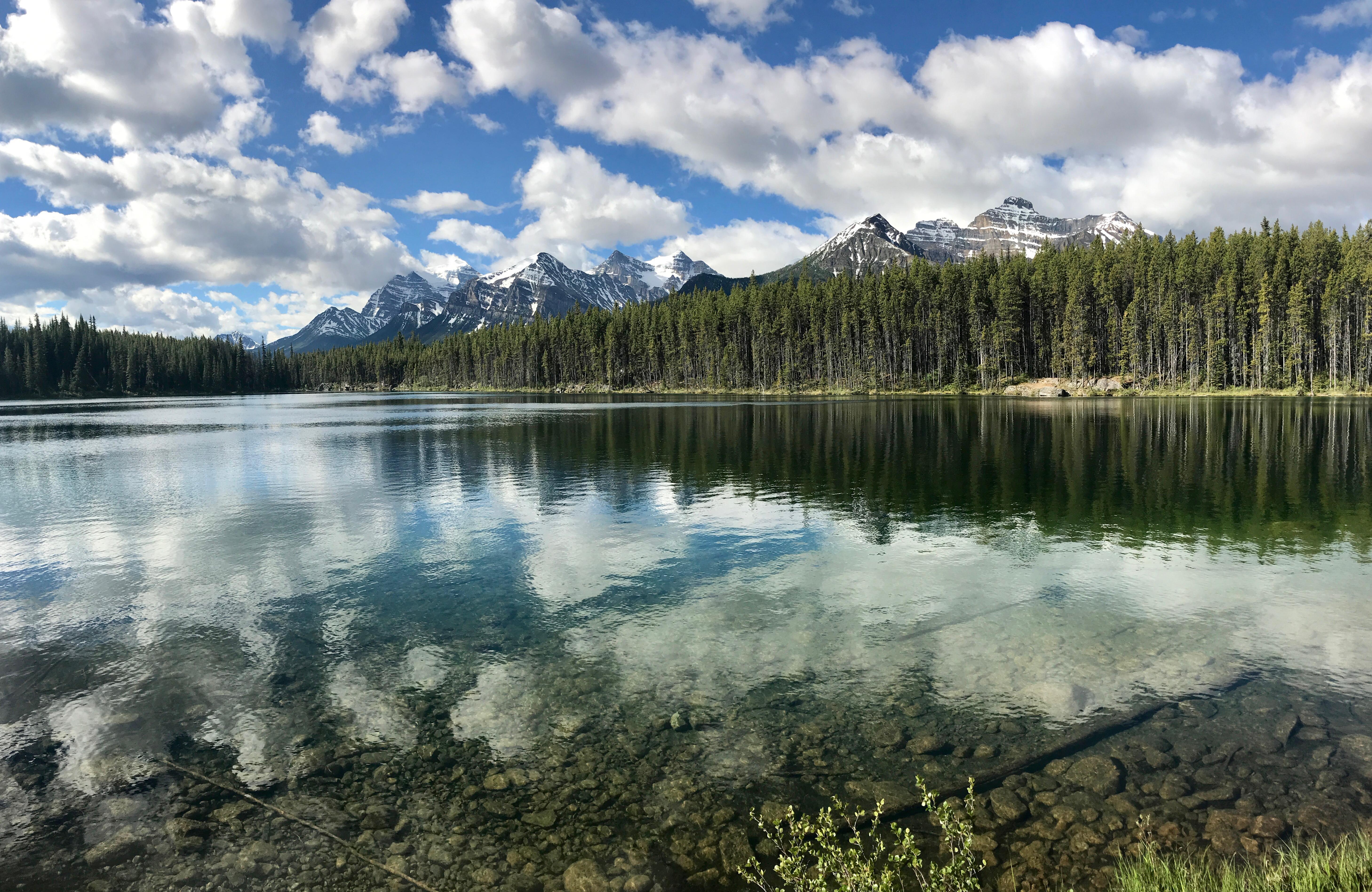 Cheap Flights from New York to Alberta from 158 KAYAK