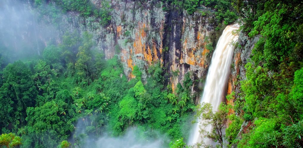 Mt Springbrook Springbrook Travel Guide | Springbrook Tourism - KAYAK
