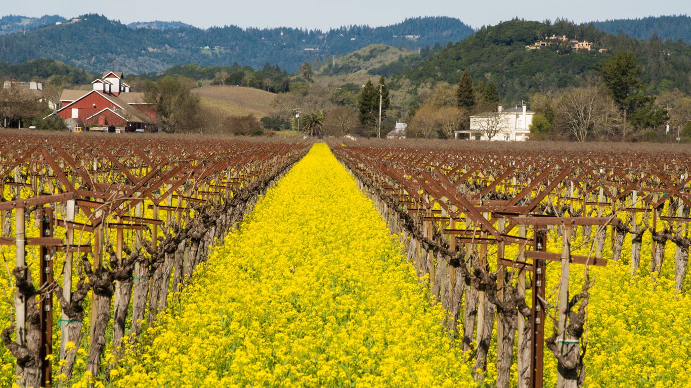 Hotels in Yountville