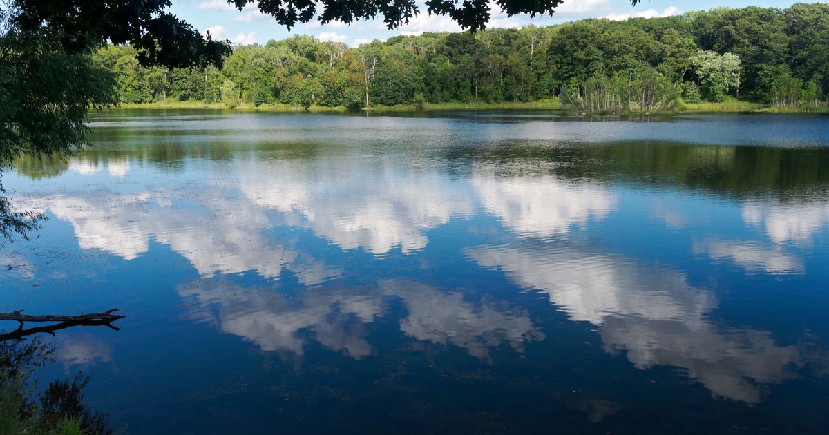 Cheap Flights from Manchester to Minnesota from £343 KAYAK