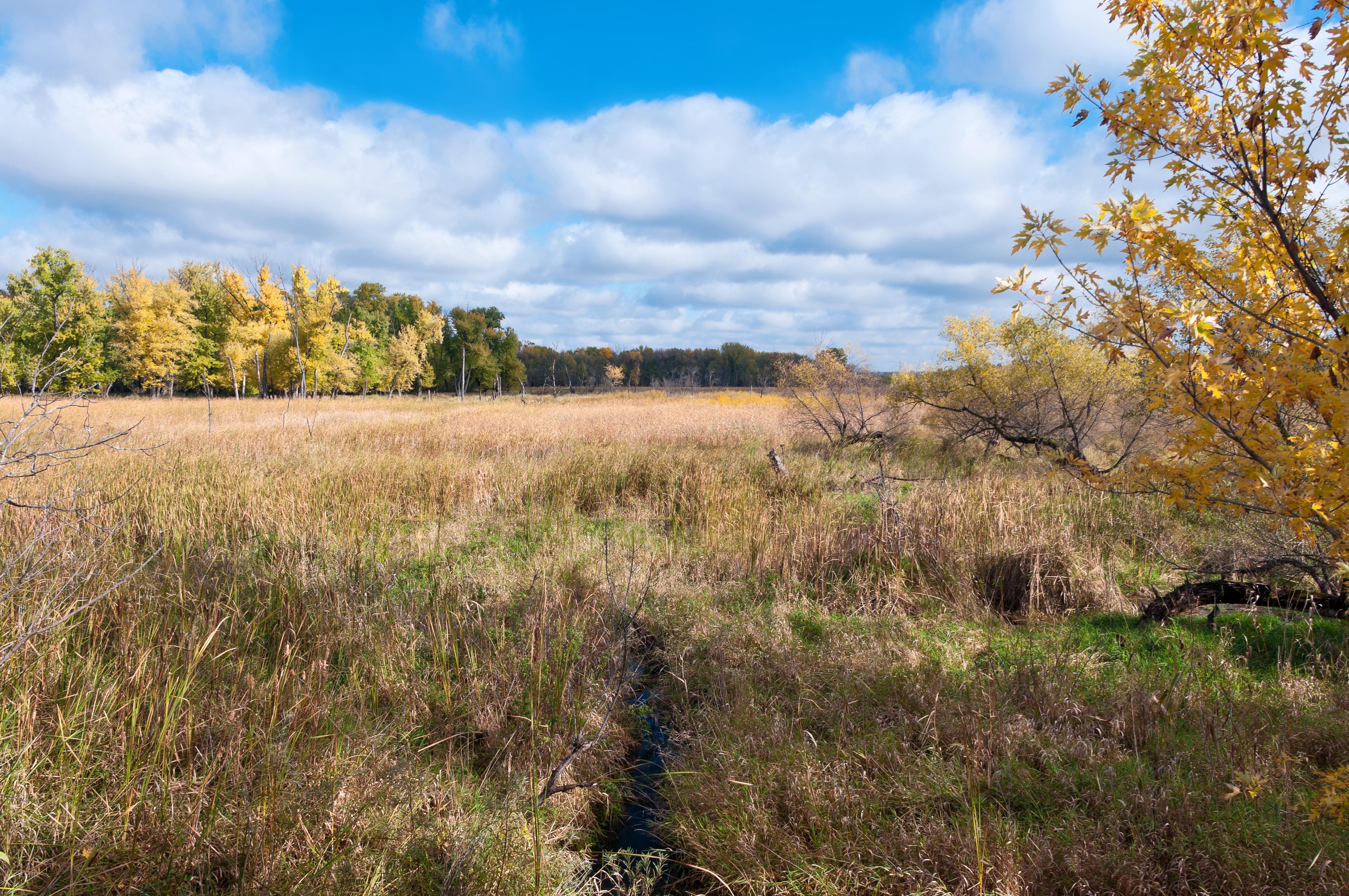 Cheap Flights from Florida to Minnesota from 34 KAYAK