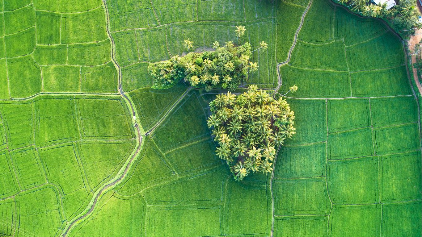 Férias em Tissamaharama