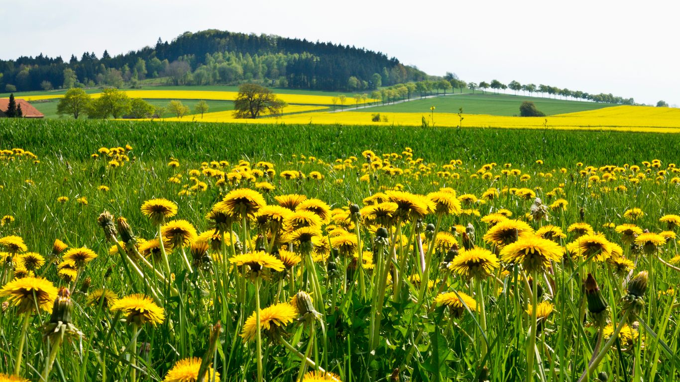Nordrhein-Westfalen Nordrhein-Westfalen