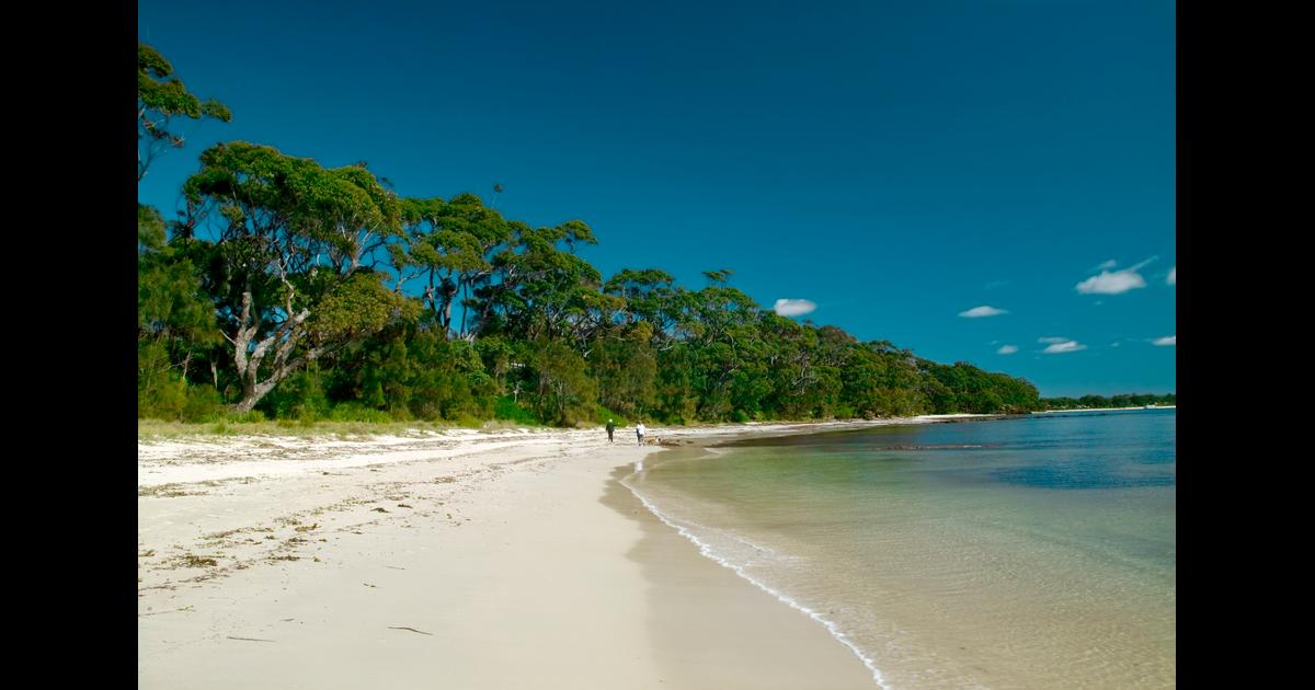 Car Rentals in Jervis Bay Search for Rental Cars on KAYAK