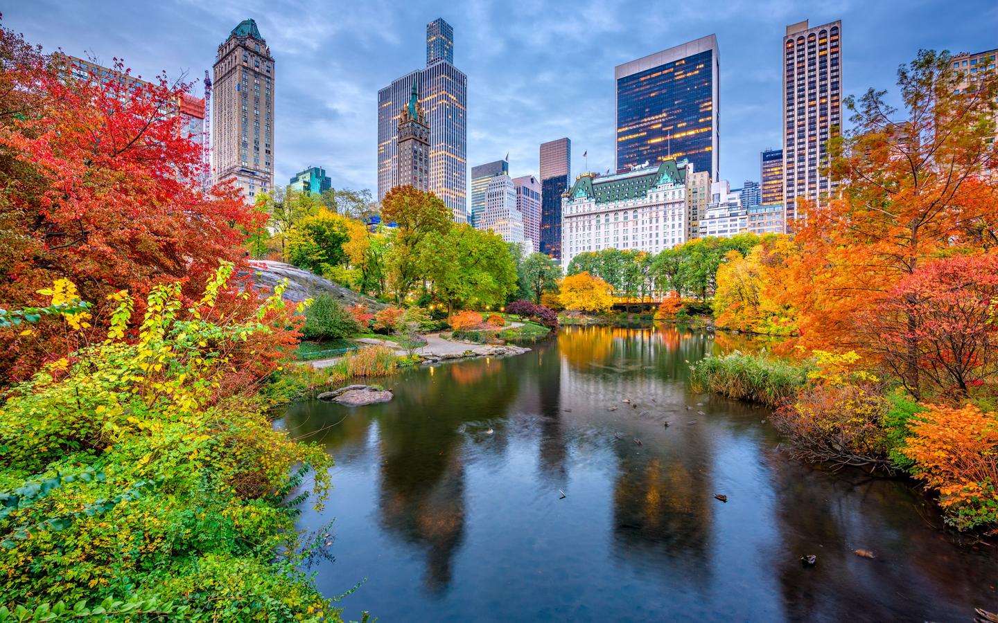 New York hotels