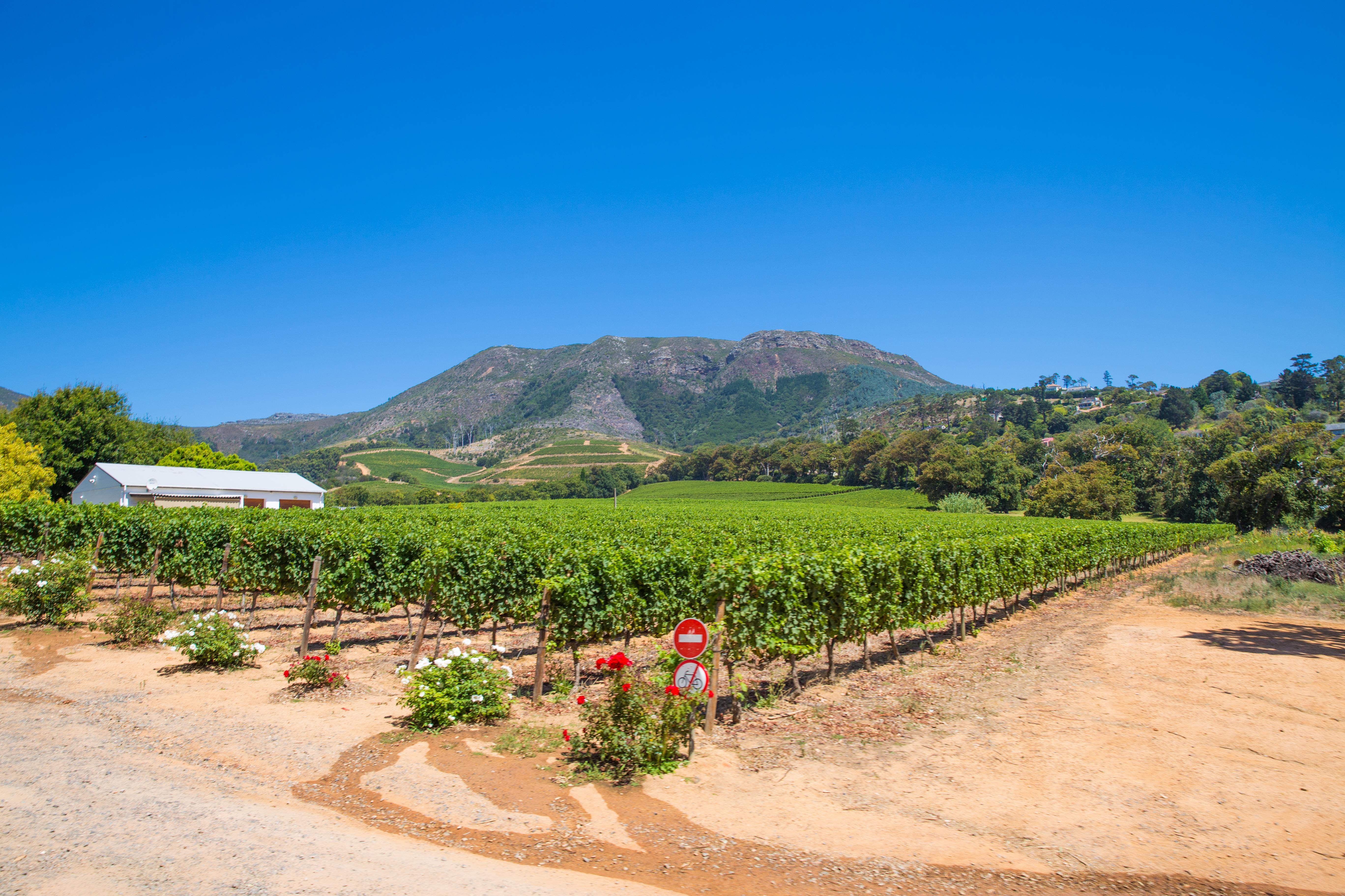 Stellenbosch Travel Guide | Stellenbosch Tourism - KAYAK