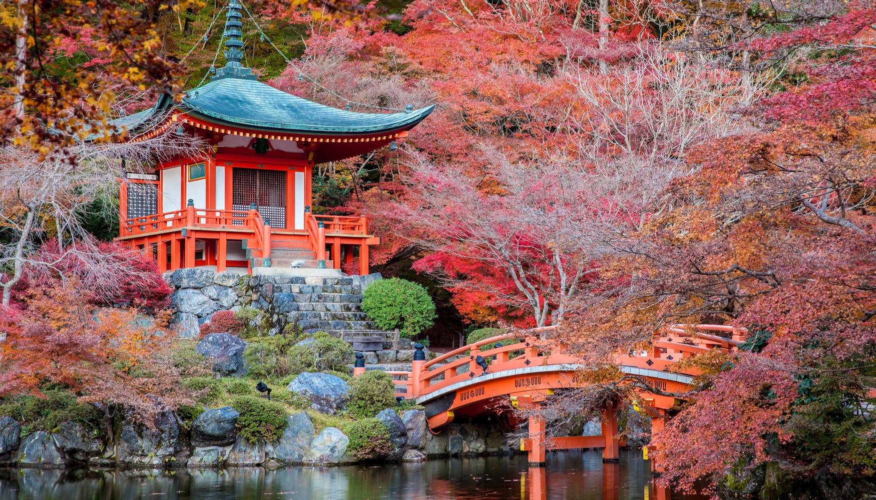 Holidays in Japan from £726 Search Flight+Hotel on KAYAK