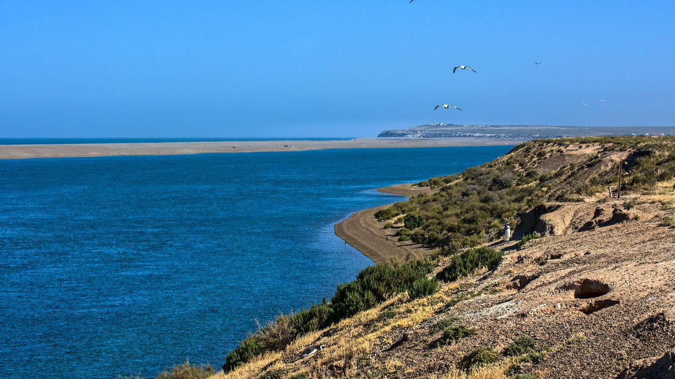Hoteles en Puerto Madryn