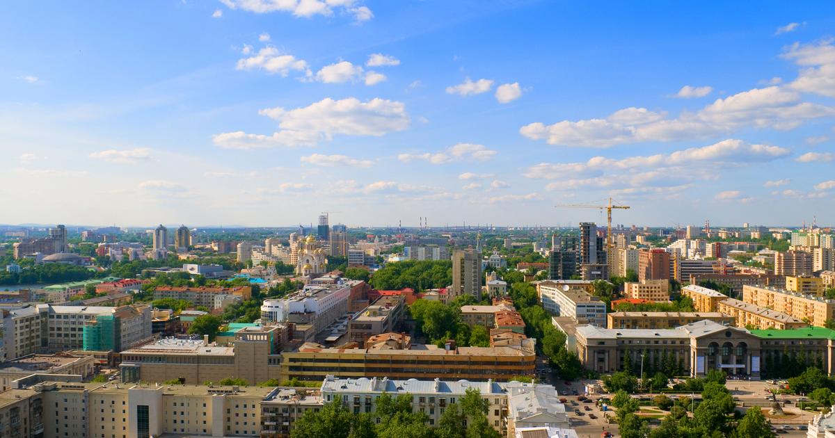 Панорама Екатеринбурга с птицами
