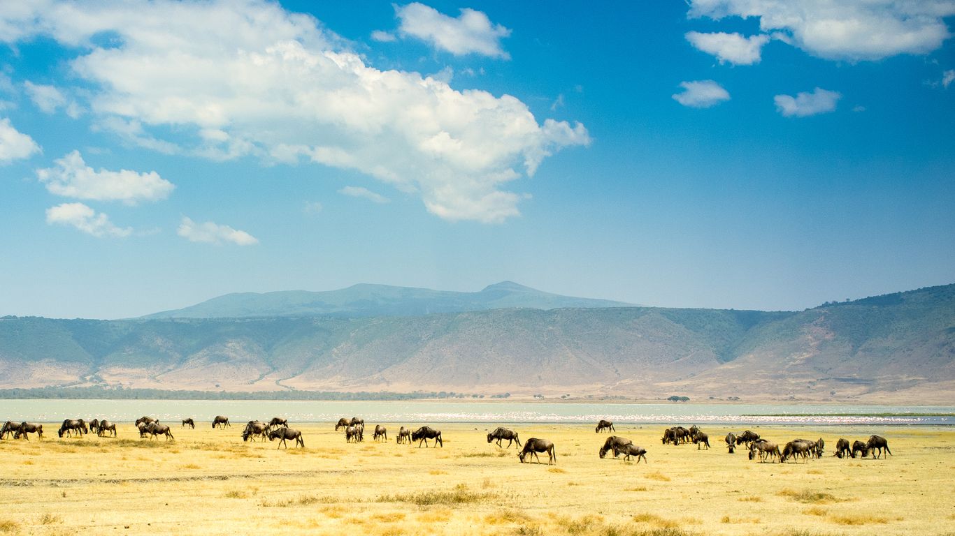 Férias em Ngorongoro